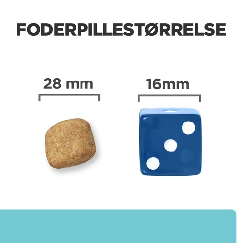 Hill’s Prescription Diet t/d | Dental Care tørfoder til hunde med kylling