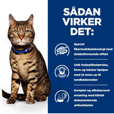 Sadan vikker det - Hill's PRESCRIPTION DIET t/d Dental Care tørfoder til katte med kylling flavor.