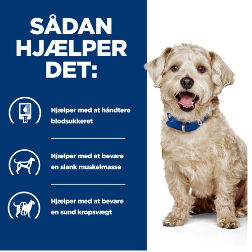 En hund med Hill's PRESCRIPTION DIET m/d Diabetes Care vådfoder til hunde med kylling 370g dåser, hjælper med at regulere blodsukkerniveauet.