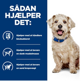 En hund med Hill's PRESCRIPTION DIET m/d Diabetes Care vådfoder til hunde med kylling 370g dåser, hjælper med at regulere blodsukkerniveauet.
