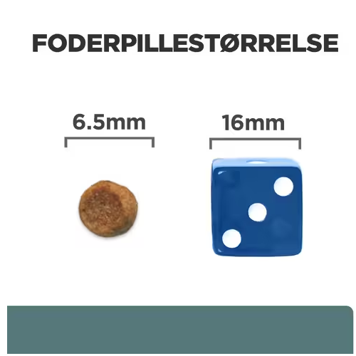 Et billede af en terning og en lineal med et SEO søgeord - Hill's PRESCRIPTION DIET m/d Multi-Benefit tørfoder til katte med kylling eller receptpligtig diæt m/d. (Mærkenavn: Hills Prescription Diet)