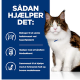 En kat står foran en plakat, hvor der står Hill's PRESCRIPTION DIET m/d Multi-Benefit tørfoder til katte med kylling.