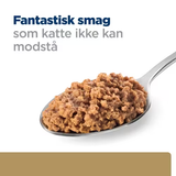 A spoon with a scoop of Hill's Prescription Diet a/d Restorative Care vådfoder 156g - dåsemad til hunde og katte i svækket tilstand with the words 'fantastik smag'.