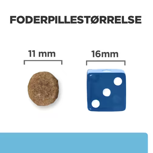 Hill’s Prescription Diet k/d Early Stage hundefoder til hunde med tidlige tegn på nyrelidelser