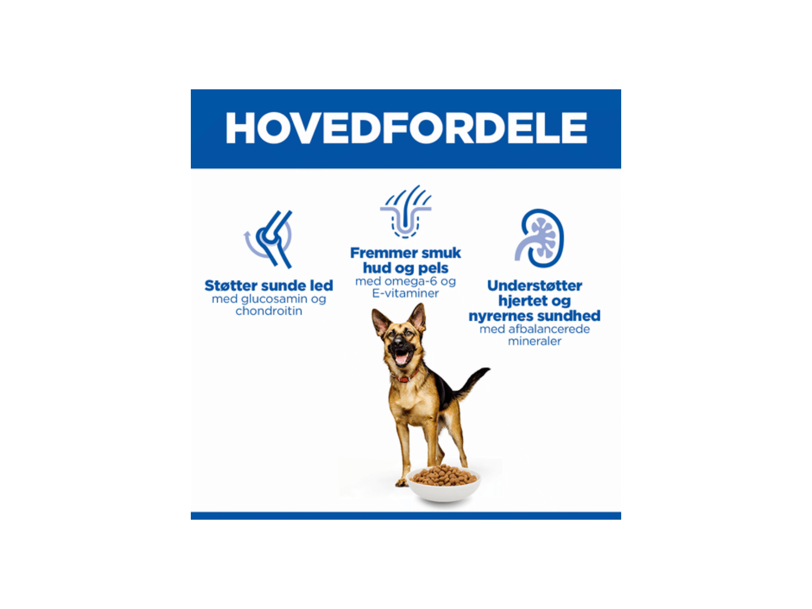 Hill's Science Plan Mature Adult Large Breed Hundefoder Kylling 12 kg fordele