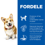 Hills Science Plan tørfoder til voksne Små & Mindre hunde på 1 til 6 år med kylling og kalkun fordeles fordle with an image of a corgi.