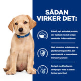 Hill's PRESCRIPTION DIET Derm Complete Puppy Miljø-/Fodersensitivitet ris & æg opskrift tørfoder til hvalpe