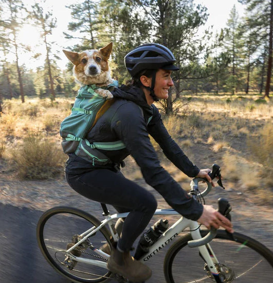 Ruffwear Hitch Hiker Backpack – Hunderygsæk til aktive hundeejere