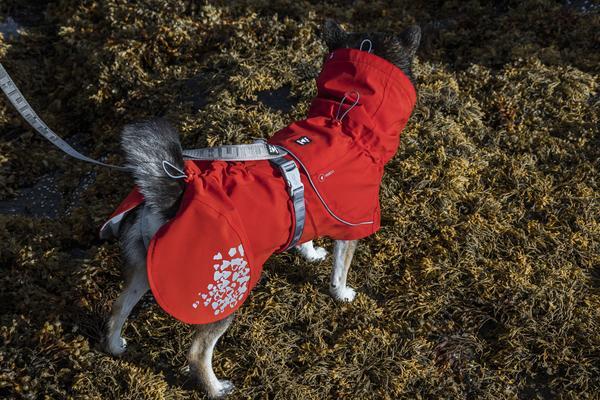 Hurtta Monsoon Regndækken til Hunde – Vandtæt og Komfortabelt i Flere Farver