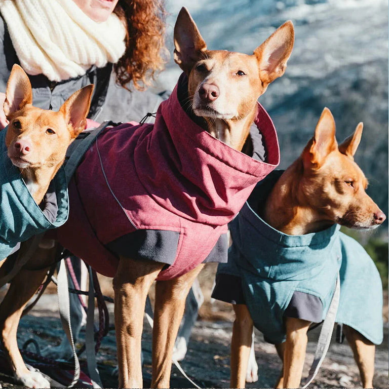 Hurtta Expedition Parka - Vinterdækken til Hunde i flere flotte farver