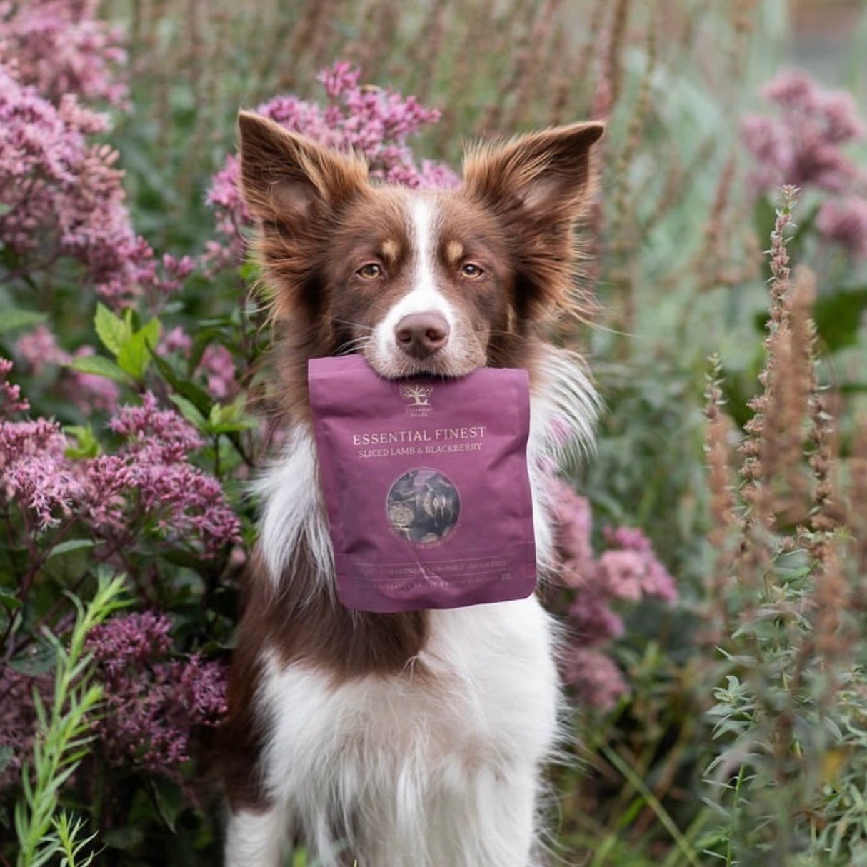ESSENTIAL FINEST SLICED LAMB & BLACKBERRY