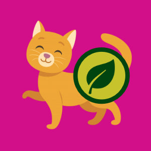 Kattemad til allergiske katte