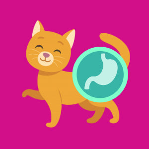 Kattemad til sart mave og fordøjelse