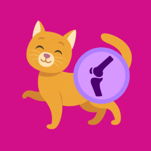 Kattemad til sunde led og mobilitet