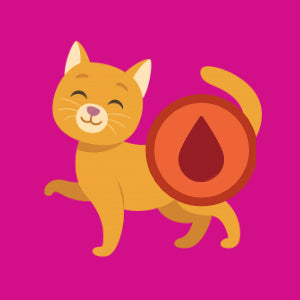 Kattemad til urinvejsproblemer