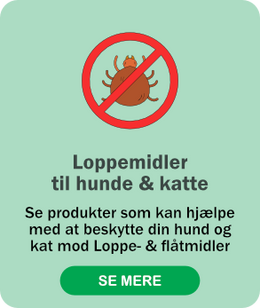 Loppemidler til hunde & katte