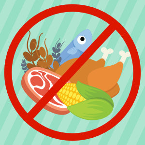 Allergifoder til hunde – Skånsom ernæring mod kløe & ubehag