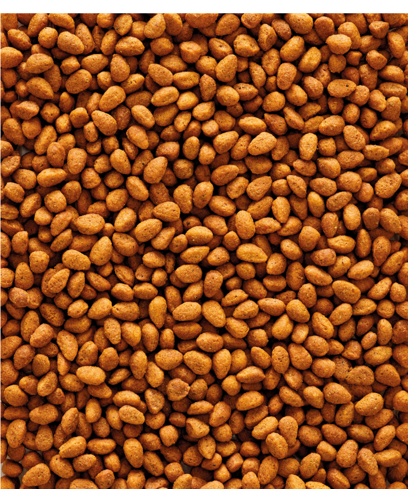 NUTRIBIRD G14 ORIGINAL | Versele-Laga Optimal Pellets: Videnskabeligt godkendt foder til større fugle