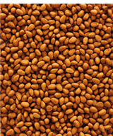 NUTRIBIRD G14 ORIGINAL | Versele-Laga Optimal Pellets: Videnskabeligt godkendt foder til større fugle