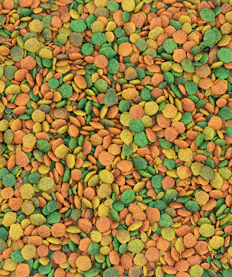 NUTRIBIRD G14 TROPICAL | Versele-Laga Optimal Pellets: Videnskabeligt godkendt foder til større fugle