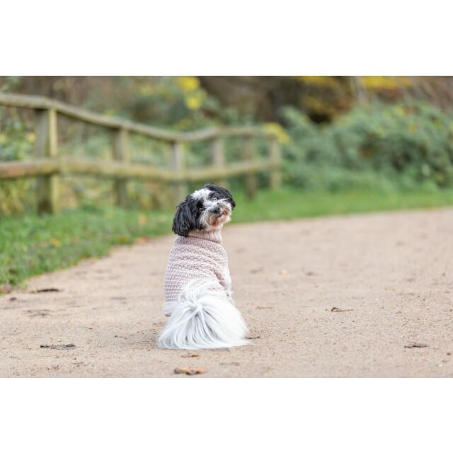 Hundetrøje, Rosa/Blush, Pullover Norwood