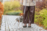 Hundejakke, trendy, lækker & grøn (vand- & vindafvisende)