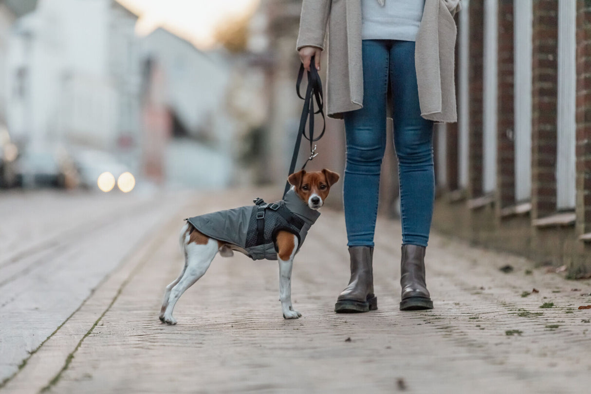 Hunde vinterjakke REFLEKS med sele GRÅ (varm & vandtæt)