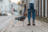 Hunde vinterjakke REFLEKS med sele GRÅ (varm & vandtæt)
