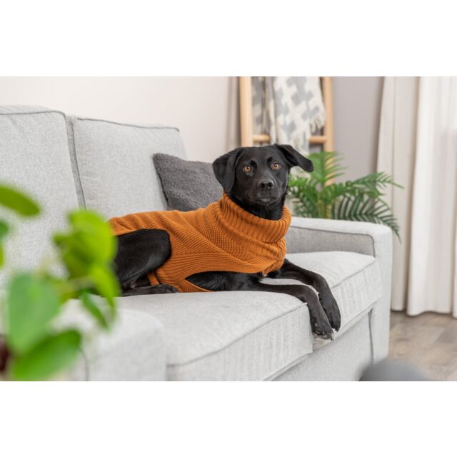 Hundetrøje, CityStyle Berlin Pullover - rust, grøn eller grå
