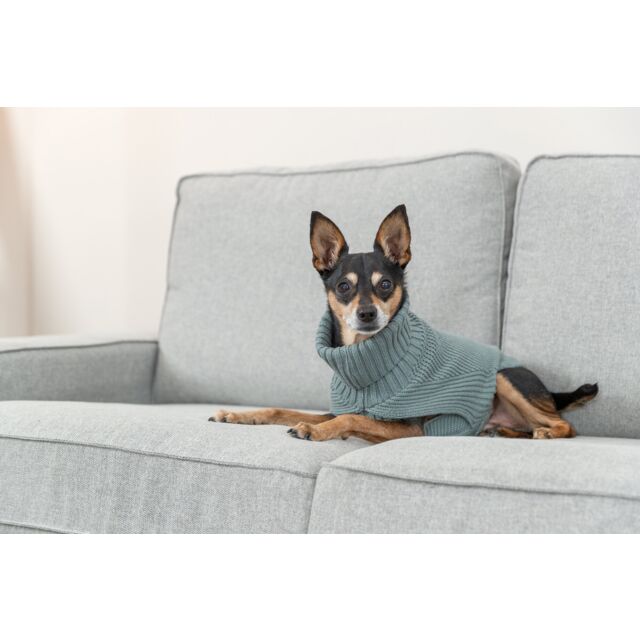 Hundetrøje, CityStyle Berlin Pullover - rust, grøn eller grå