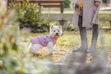 Hundejakke, trendy, lækker & lyserød (vand- & vindafvisende)