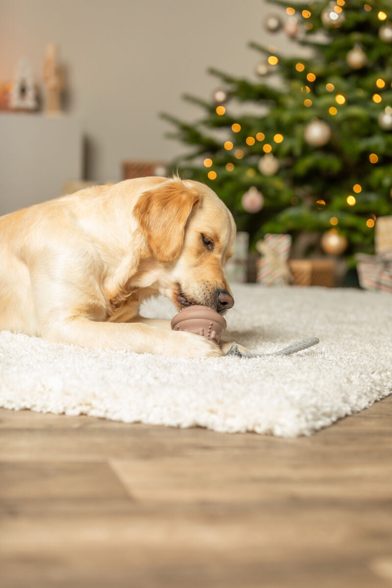 Hundelegetøj / Reb med gummi klokke