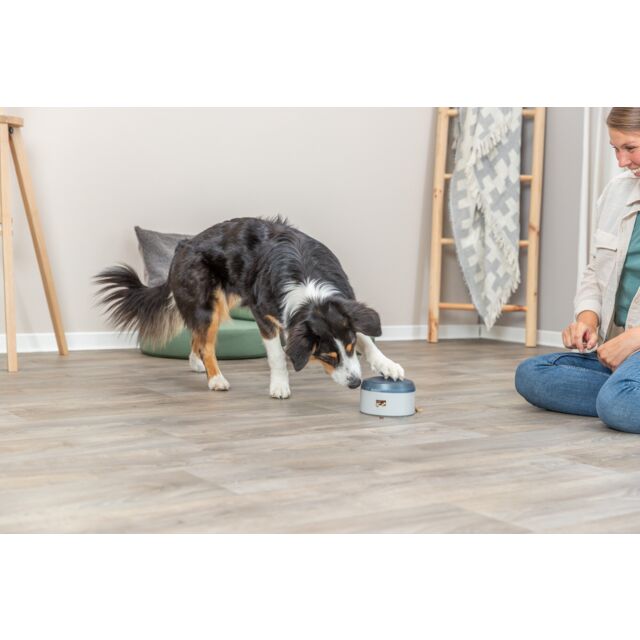 Trixie Dog Activity Buzzer – Interaktivt belønningslegetøj til hunde