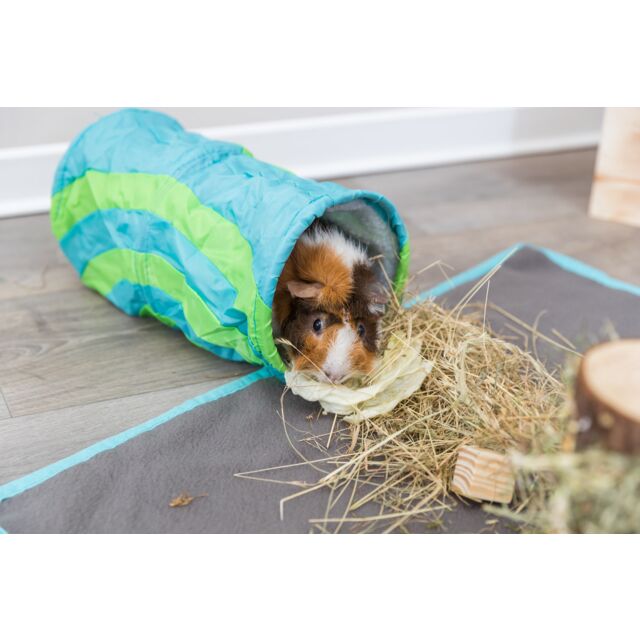 Tunnel til Marsvin & små gnavere