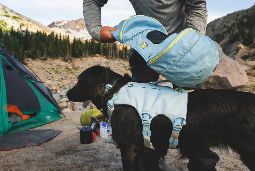 Palisades Pack fra Ruffwear – perfekt til aktive hunde