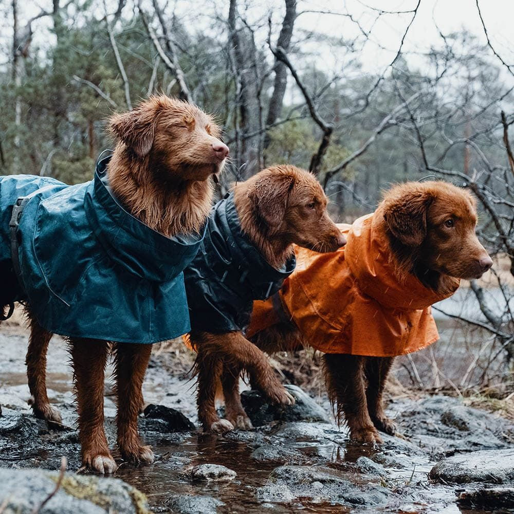 Hurtta Monsoon Regndækken til Hunde – Vandtæt og Komfortabelt i Flere Farver