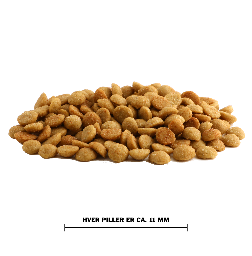 Ca. pille størrelse på Specific FOD-HY kattemad til katte - Allergy Management Plus