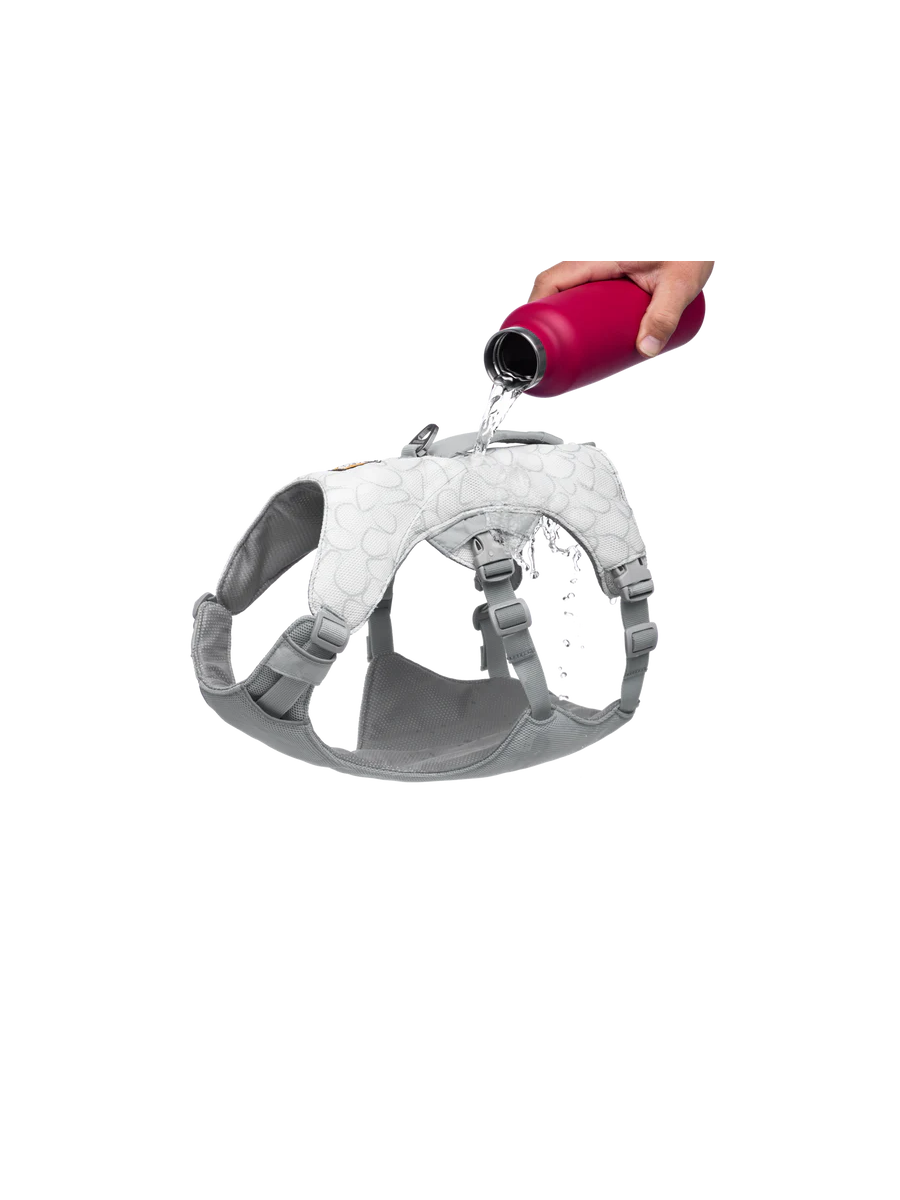 Swamp Cooler Harness fra Ruffwear – perfekt til aktive hunde