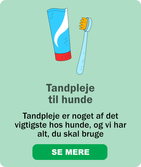 Tandpleje er noget af det
vigtigste hos hunde, og vi har alt, du skal bruge
