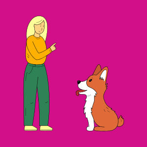 Træningsgodbidder til hunde