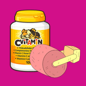 Vitaminer og mineralsten til kanin og gnaver