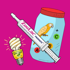 Vitaminer, zoolac & lys