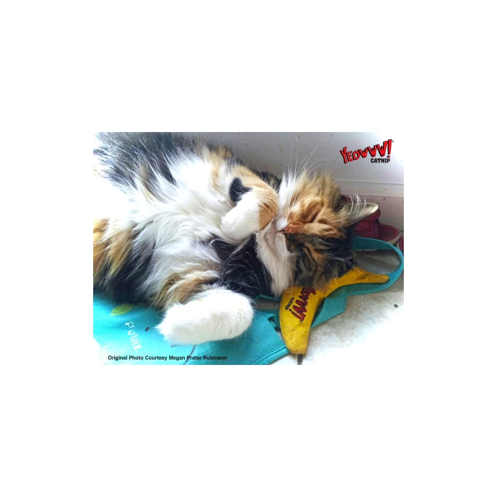 Katte legetøjs banan med Catnip, Yeowww! Chi-CAT-a Banana