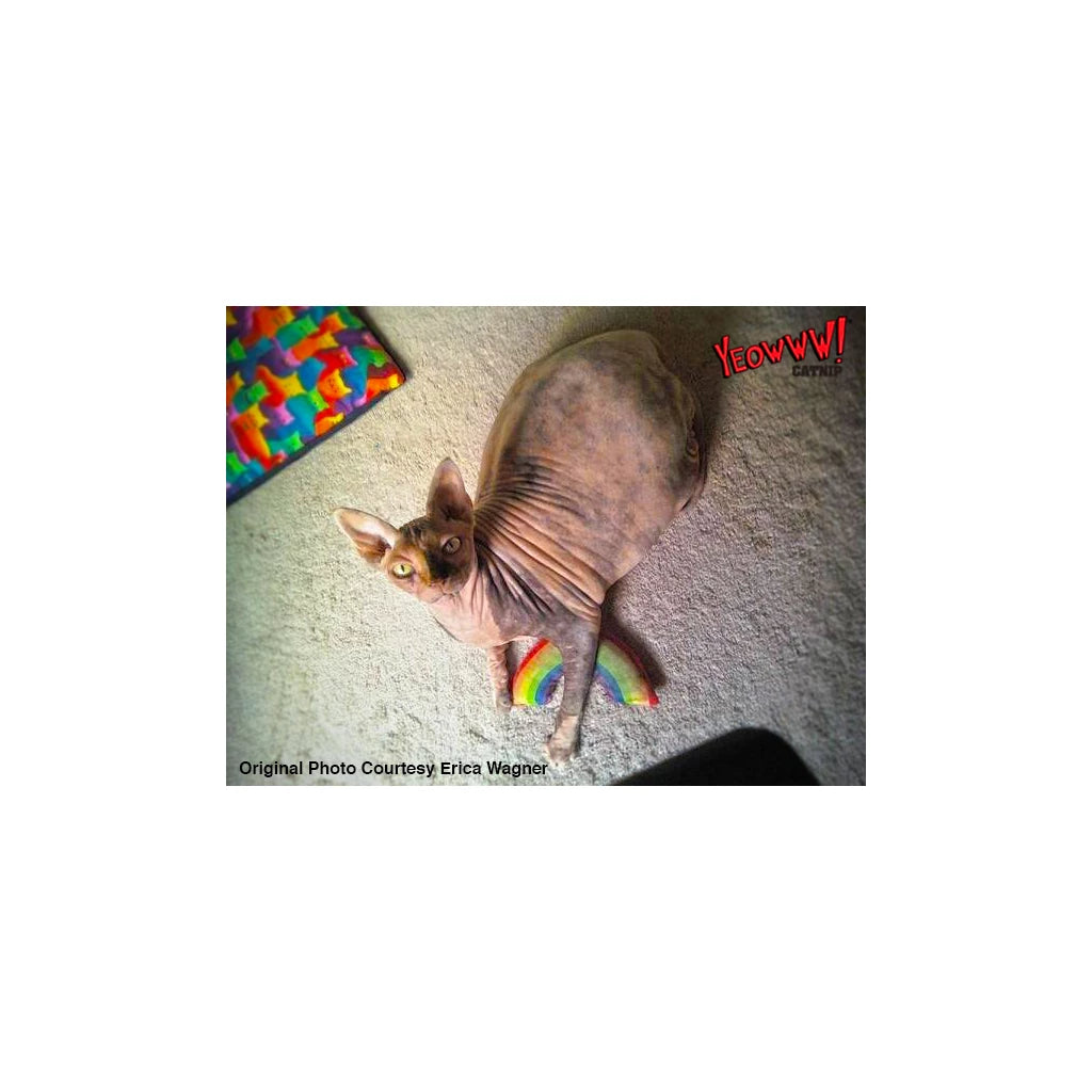Katte legetøjs regnbue med Catnip, Yeowww! Rainbow