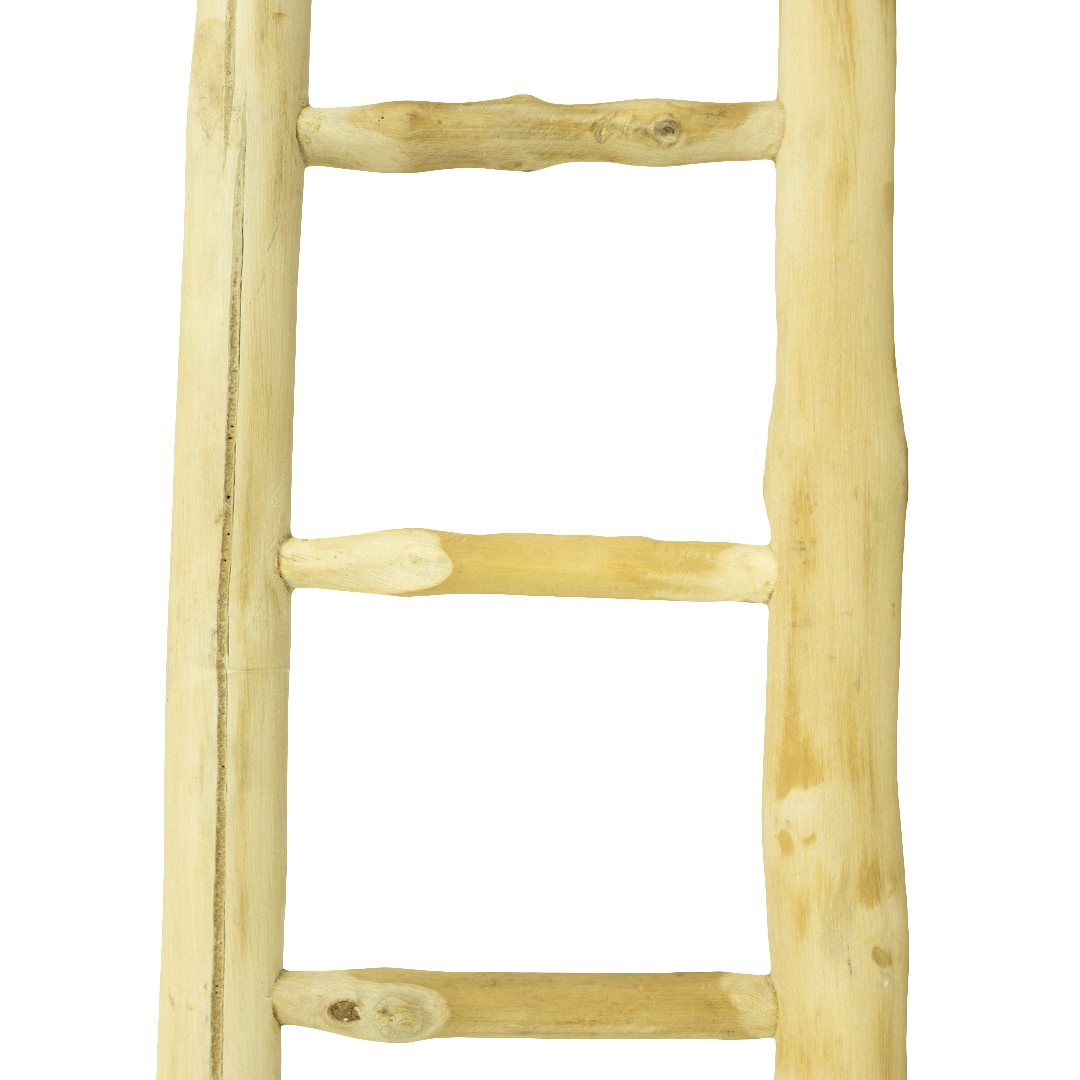 Fuglestige af javatræ 60 cm | Back Zoo Nature Java Ladder