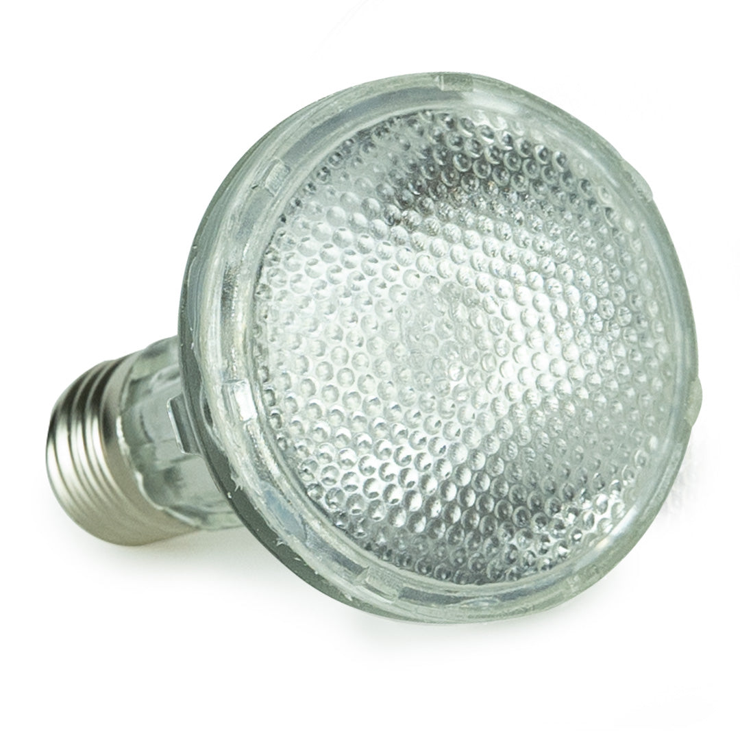 Naturligt lys til fugle - UV-lampe til fugle 35W