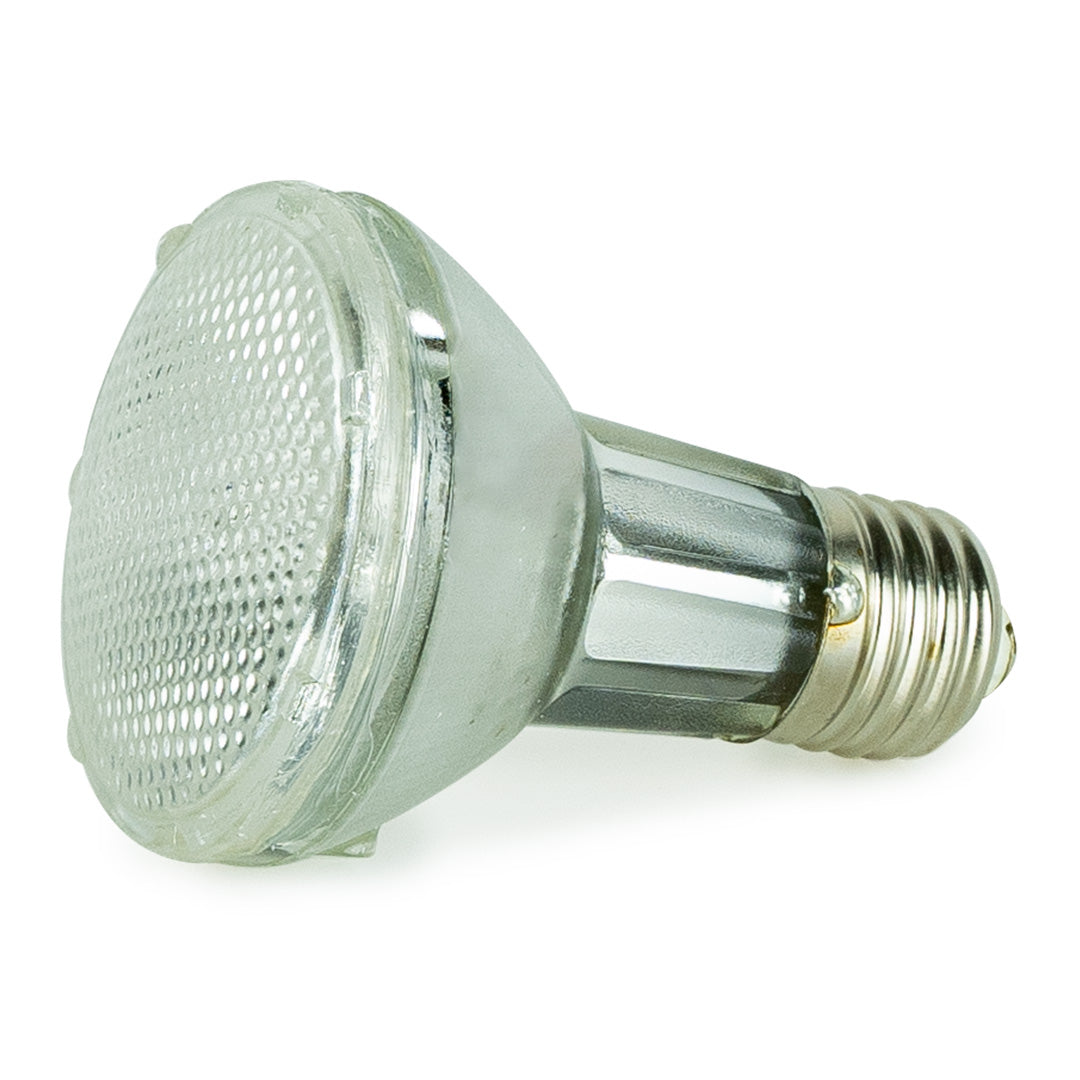 Naturligt lys til fugle - UV-lampe til fugle 35W