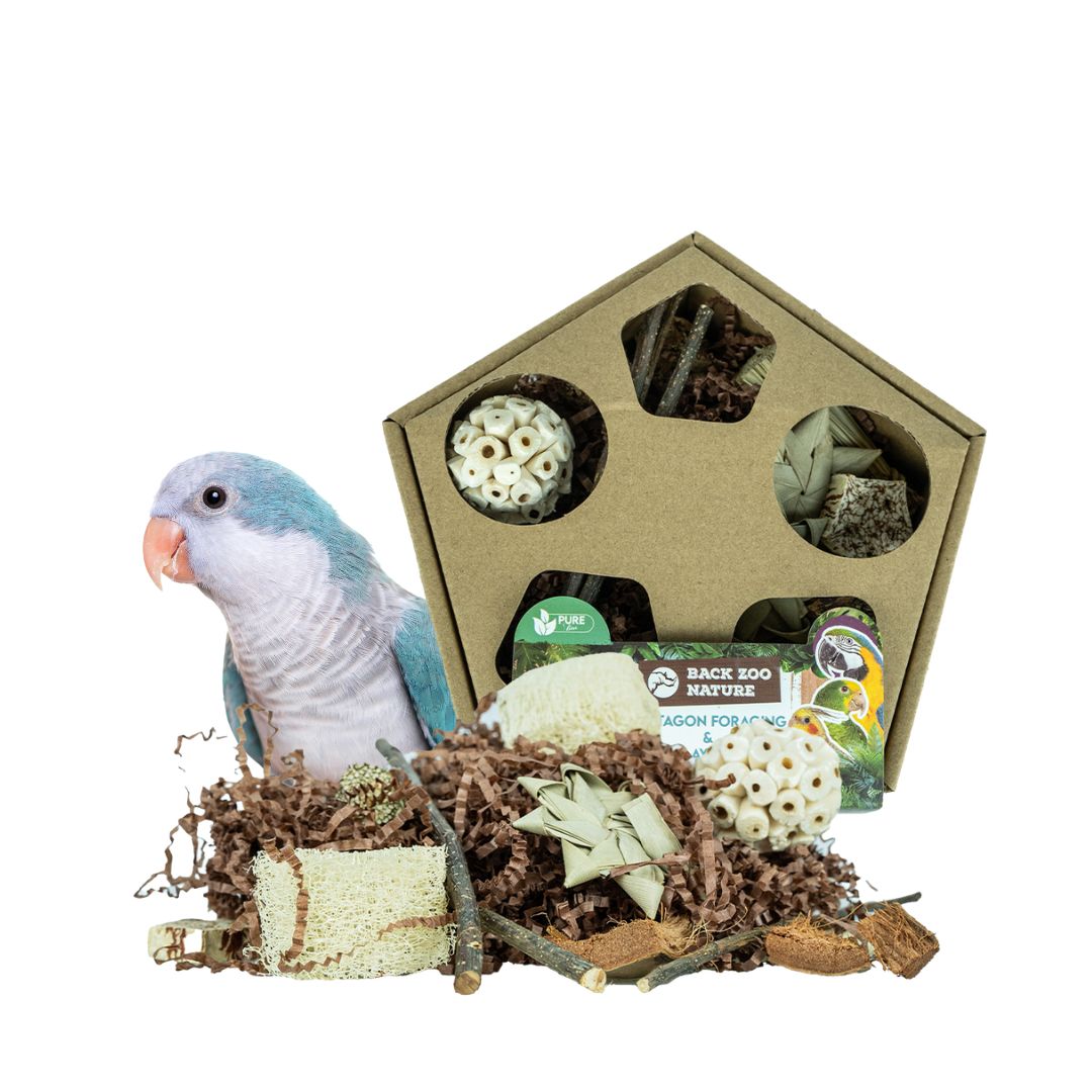 Pentagon Foraging & Play Box | Fugletilbehør