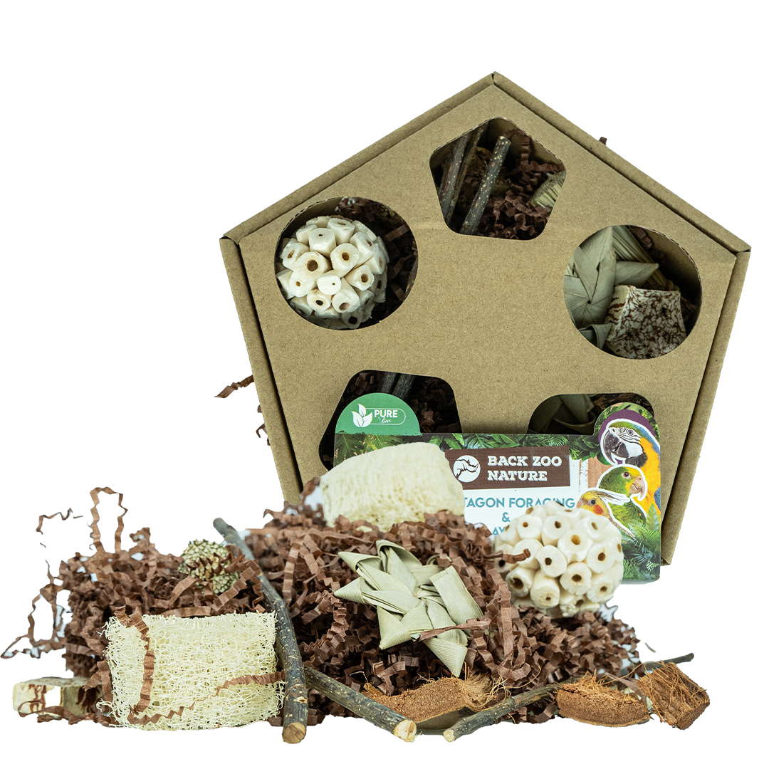 Pentagon Foraging &amp; Play Box - aktivitetslegetøj til fugle til burfugle