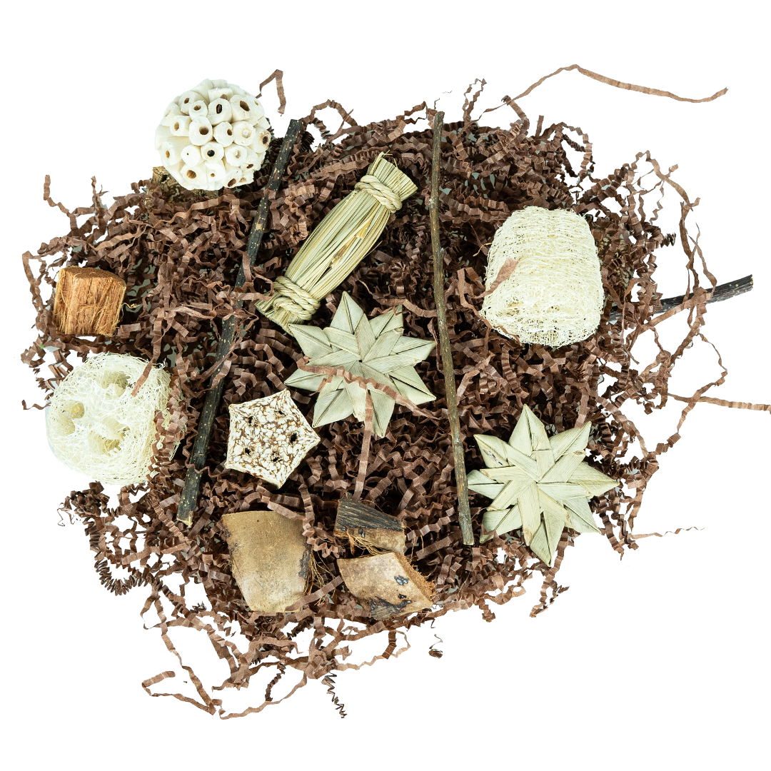 Pentagon Foraging & Play Box | Fugletilbehør
